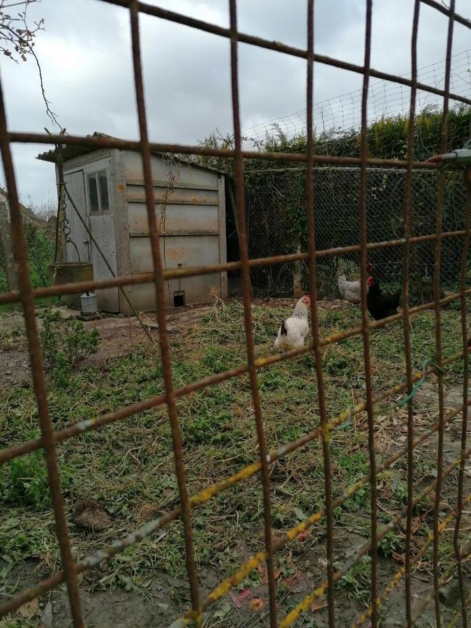 Campagne Proche Bayeux Et Plages Du Debarquement. Crouay Kültér fotó